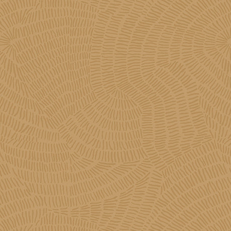 Stitched AE