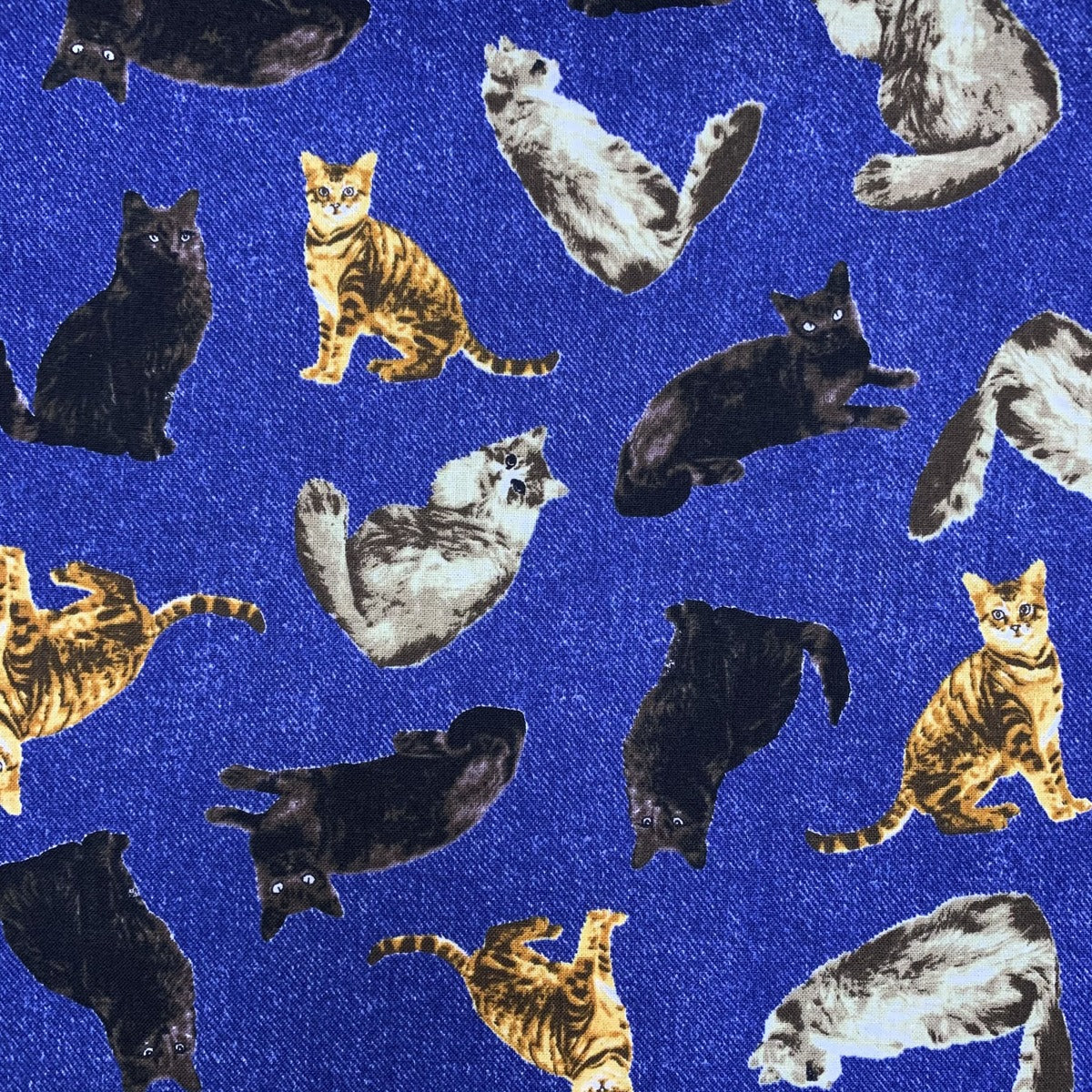 GATOS-15