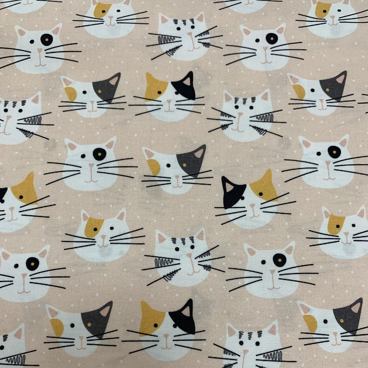 GATOS-17
