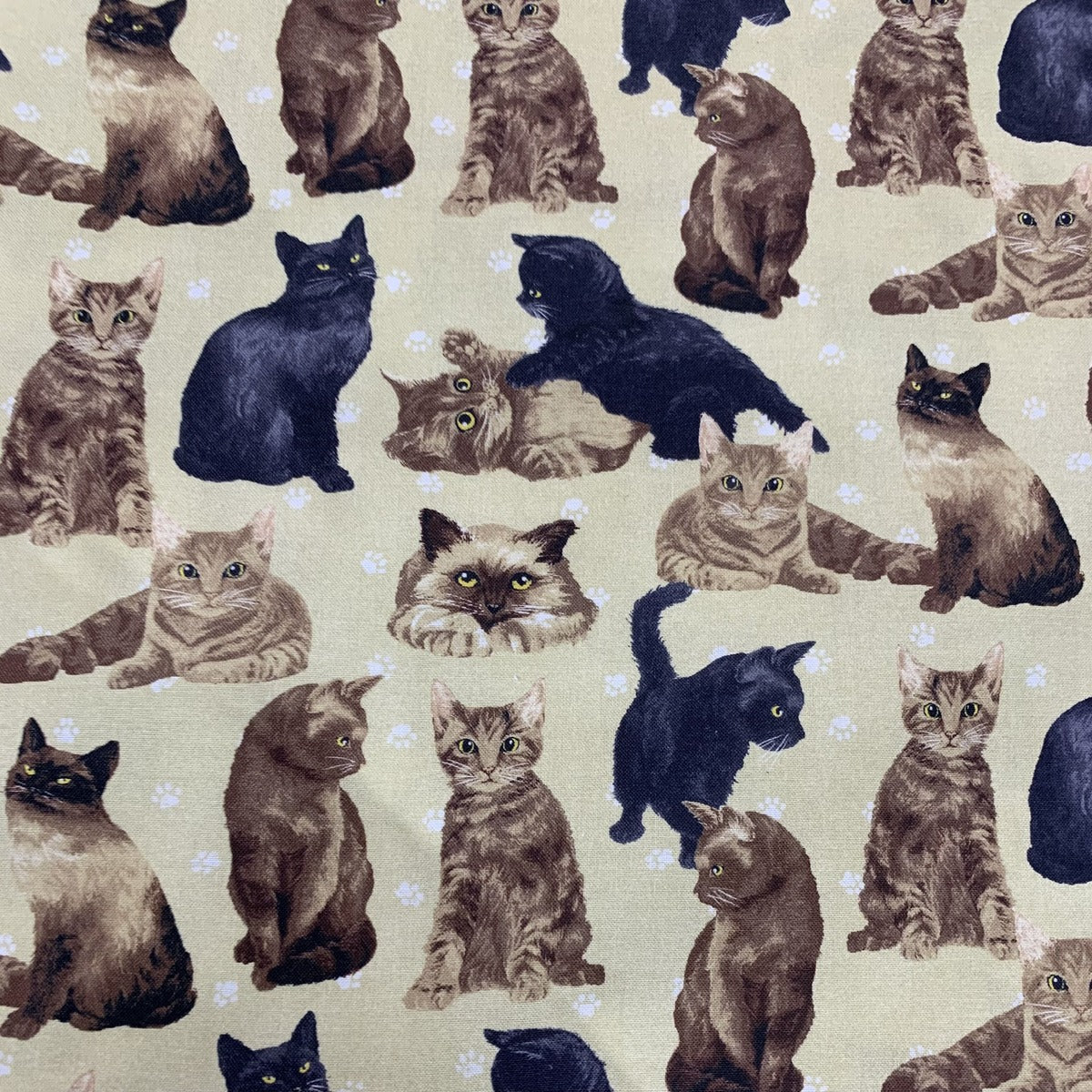 GATOS-2