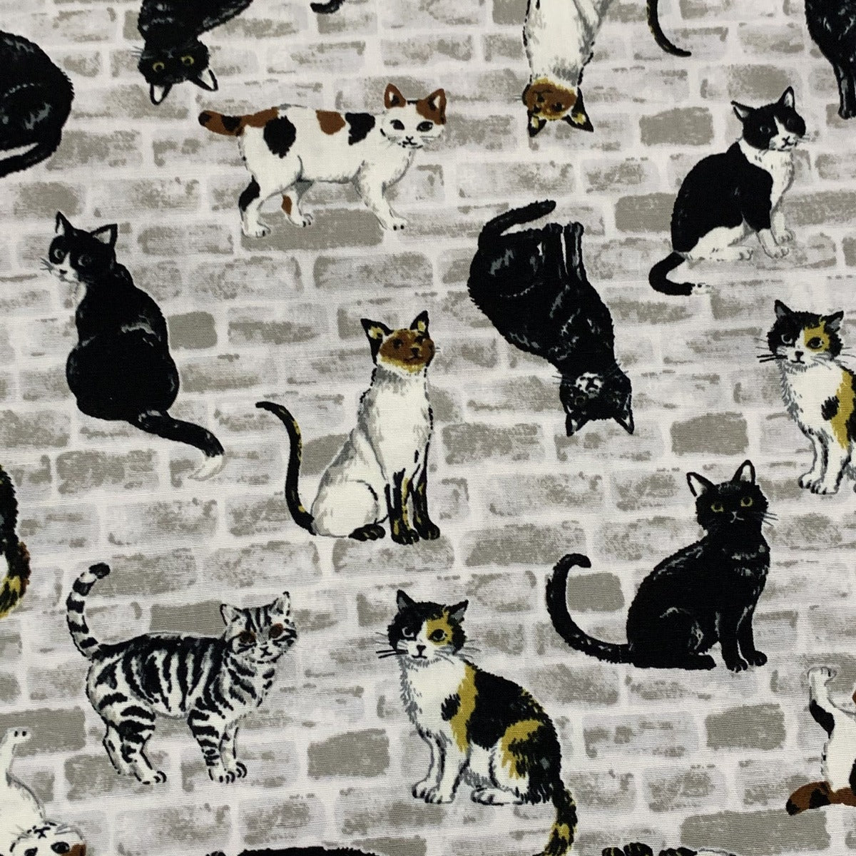 GATOS-5