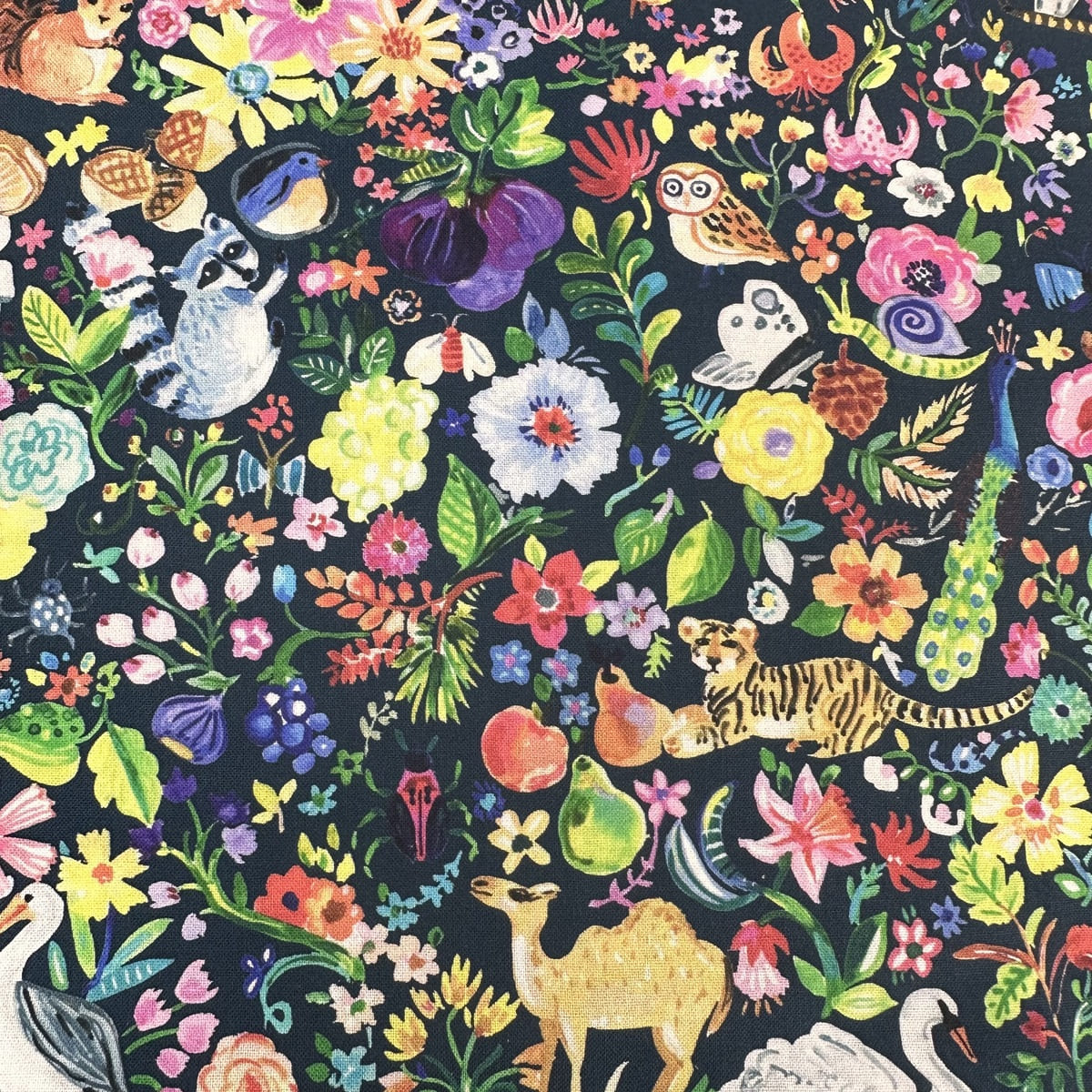 ANIMALES TIERRA