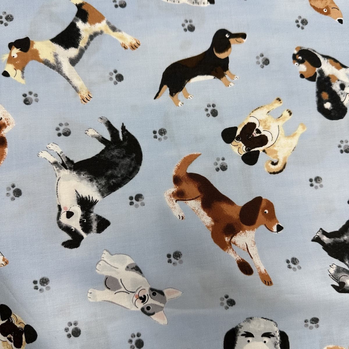 DOG BLUE