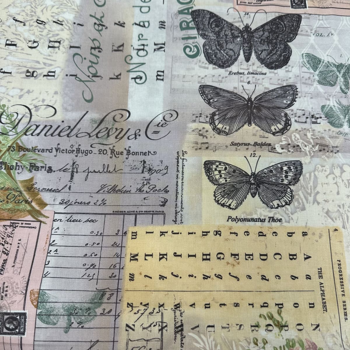 BOTANICAL MULTI