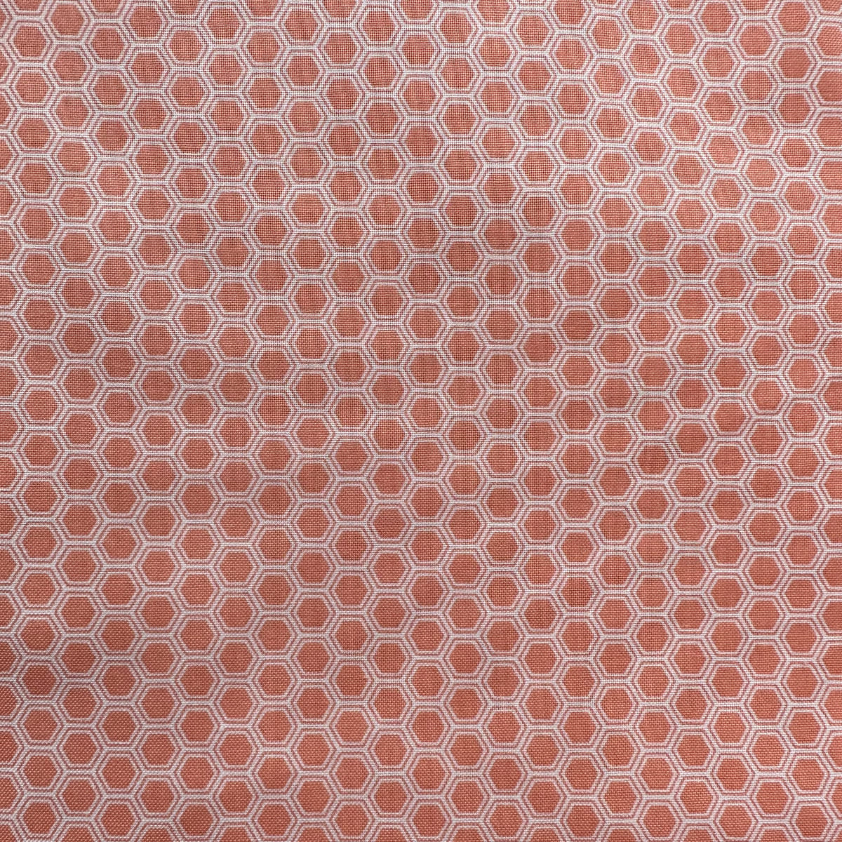 BEES KNEES CORAL