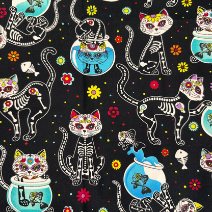 Pack Gatos