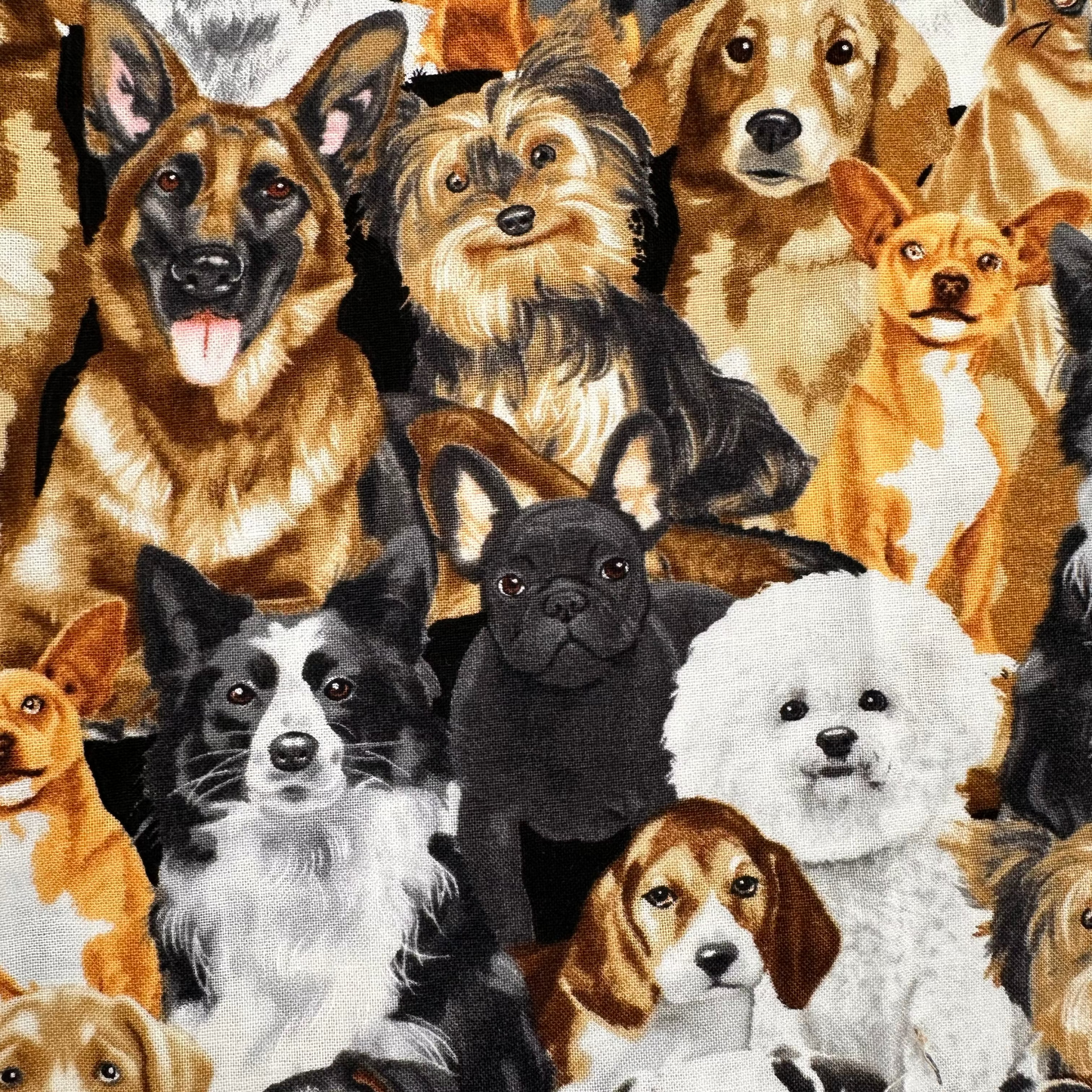 Pack Perros