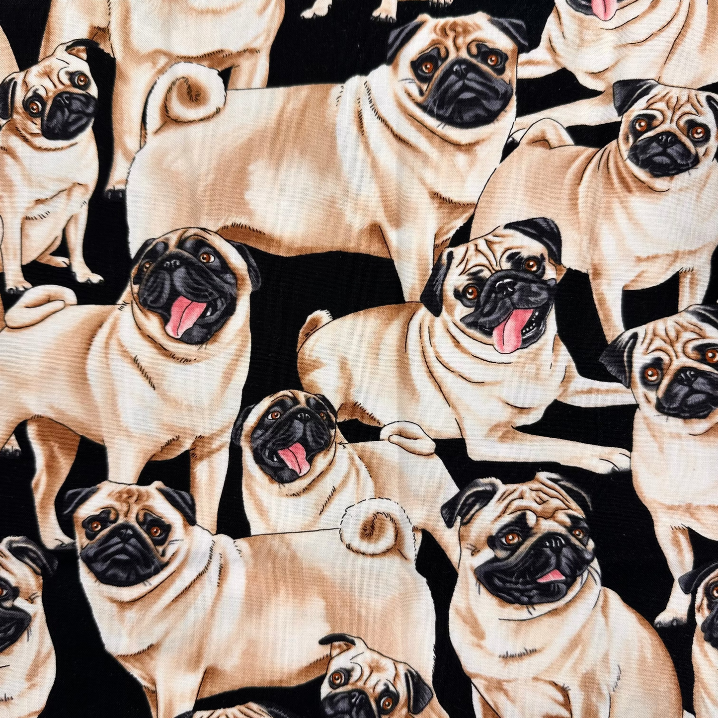 Pack Perros