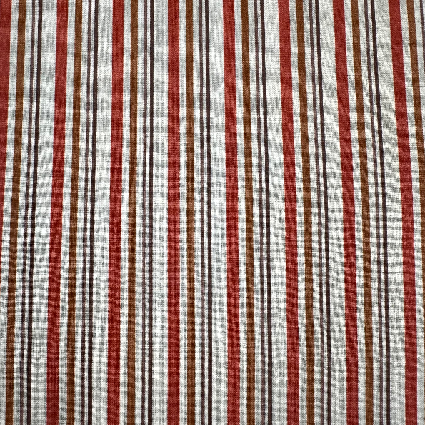 Stella Stripes