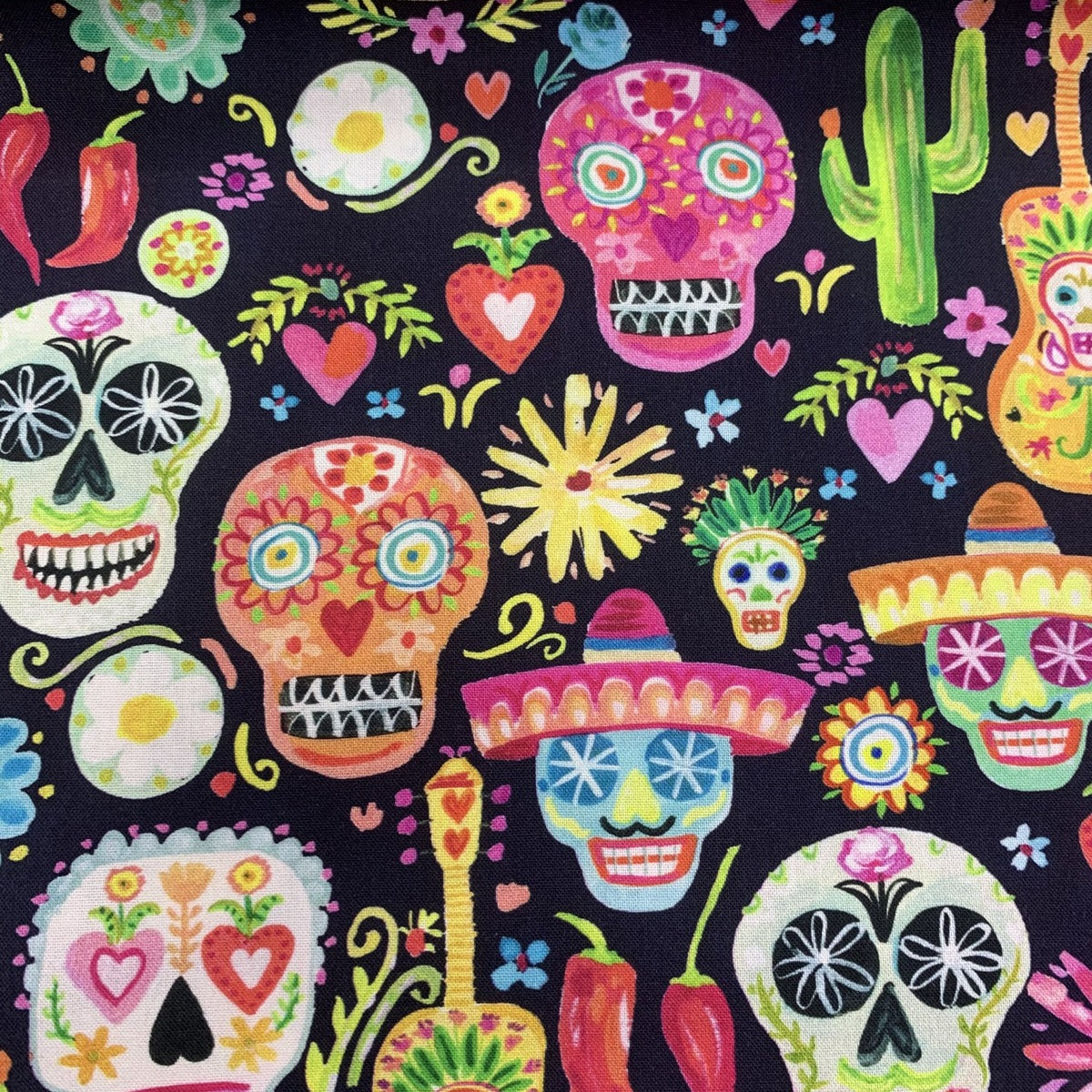 CATRINA 6