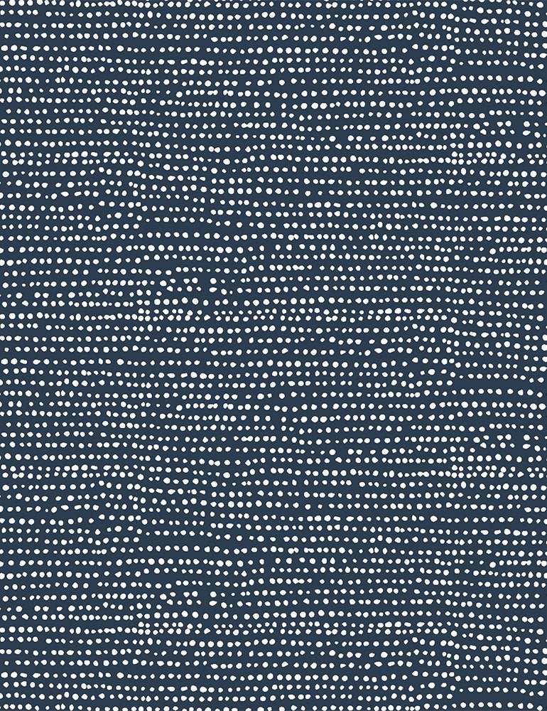 STELLA-1150-ECLIPSE