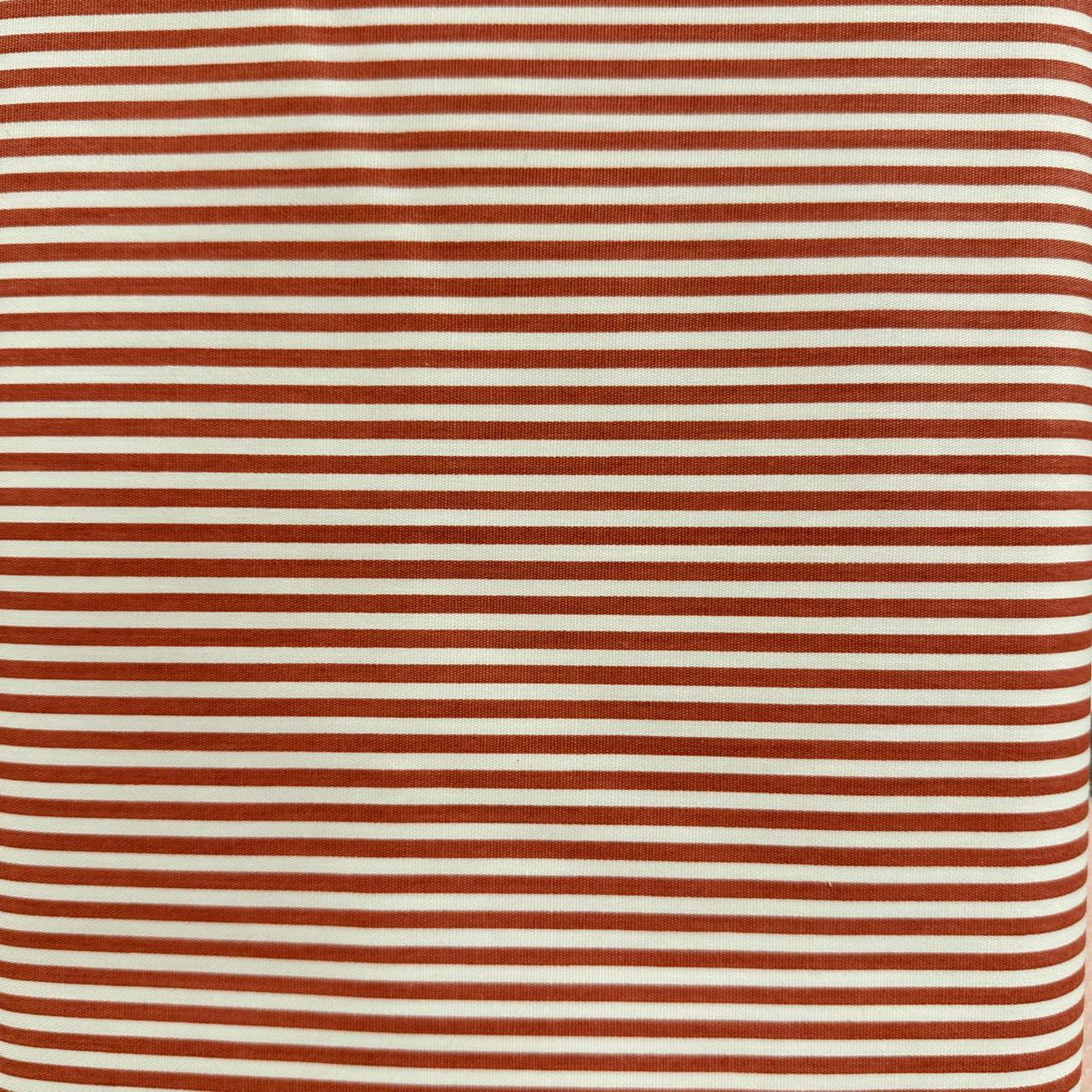 Lineas Palo Rosa